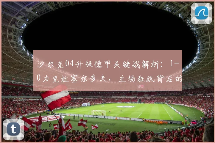 沙尔克04升级德甲关键战解析：1-0力克杜塞尔多夫，主场狂欢背后的战术与历程